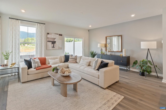 living room with hardwood / wood-style flooring