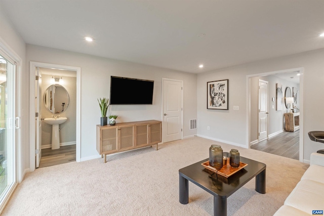 carpeted living room with sink