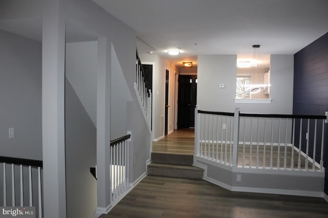 corridor featuring dark hardwood / wood-style flooring