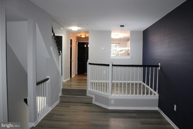 staircase with wood-type flooring and wood walls