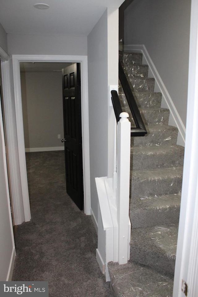 staircase with carpet floors