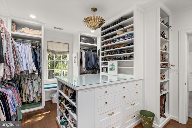 spacious closet with dark wood-type flooring