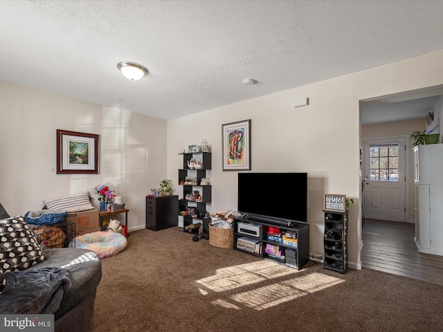 carpeted living room with a textured ceiling