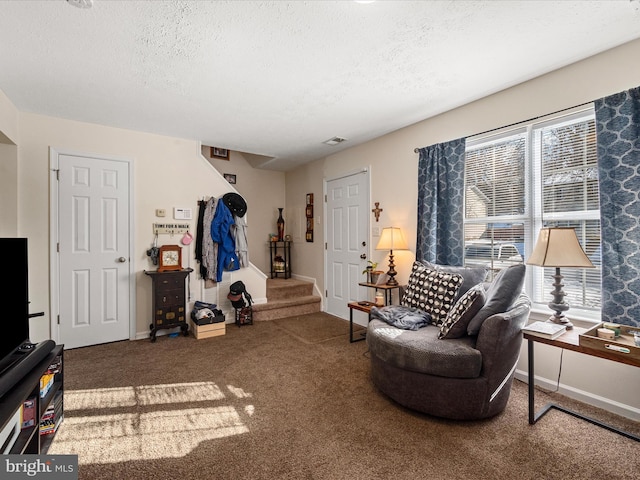 living area featuring carpet, a wealth of natural light, and a textured ceiling