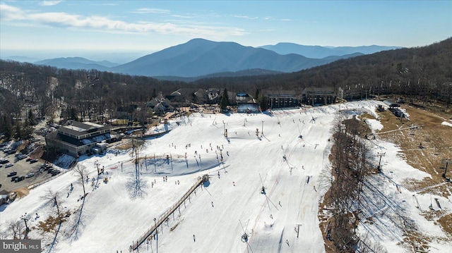 view of mountain feature