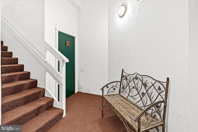 stairway featuring carpet