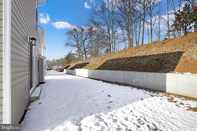 view of yard covered in snow