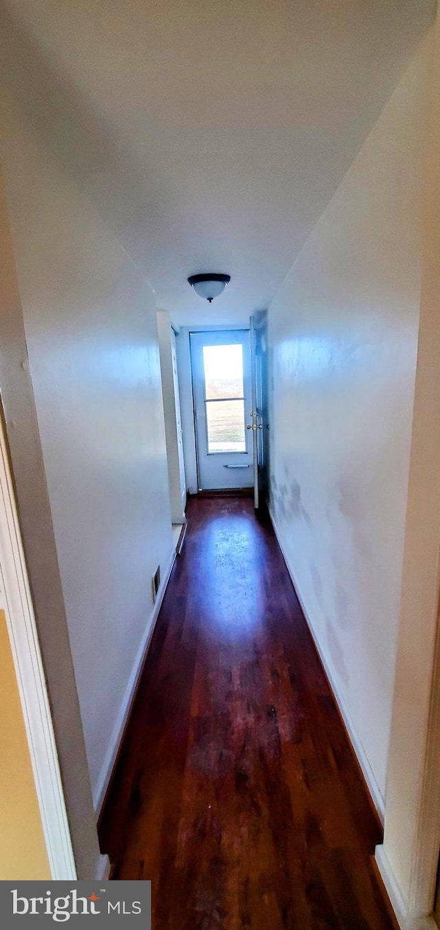 hallway featuring dark hardwood / wood-style flooring