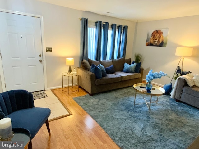 living room featuring wood-type flooring