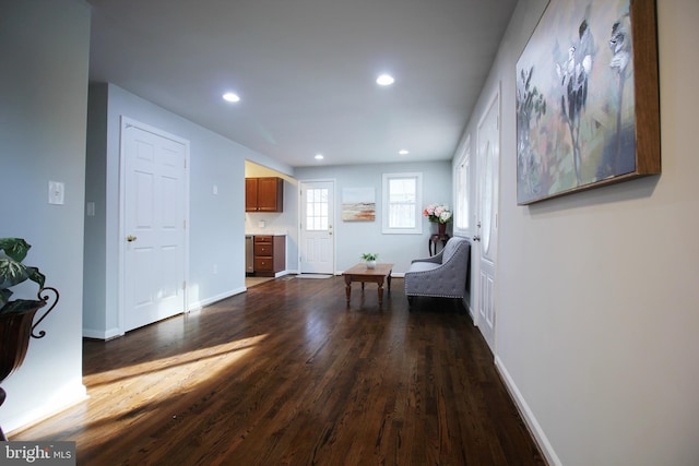 interior space featuring wood-type flooring