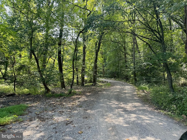 view of road