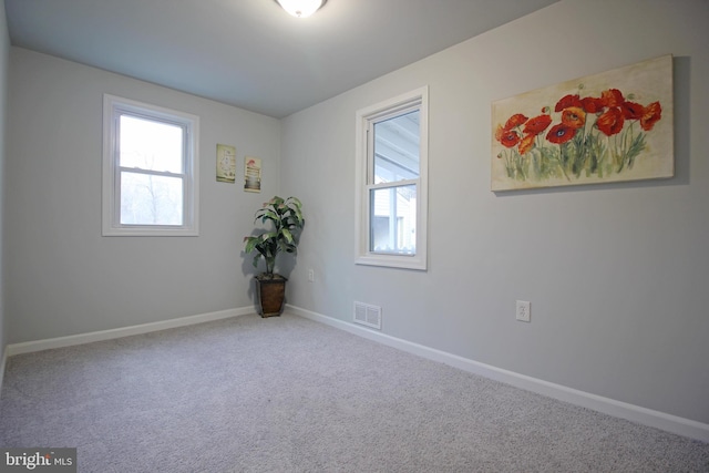 carpeted empty room featuring a wealth of natural light