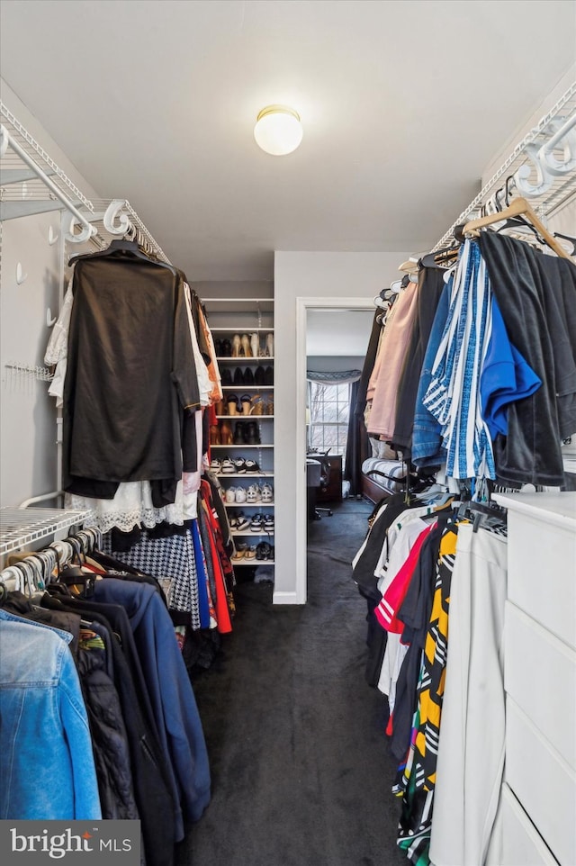 spacious closet featuring dark colored carpet