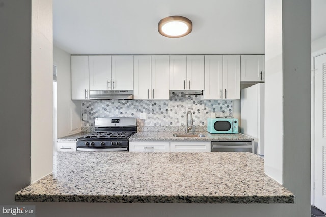 kitchen with under cabinet range hood, decorative backsplash, stainless steel appliances, and a sink