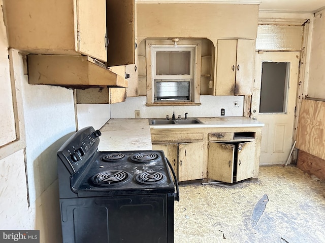 kitchen featuring black / electric stove and sink