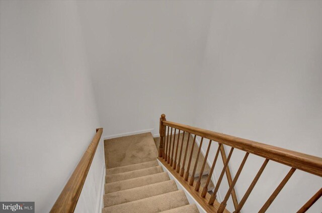 stairway with carpet floors