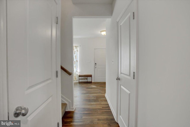 corridor featuring dark wood-type flooring