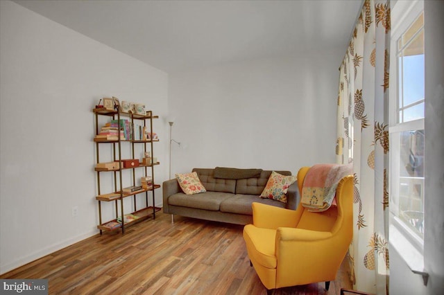 living room with wood-type flooring