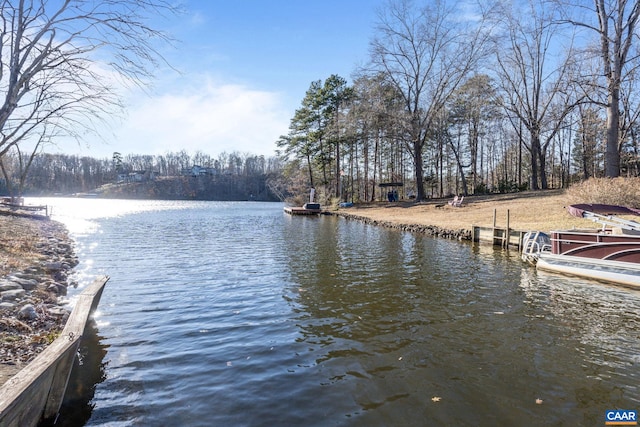 dock area with a water view