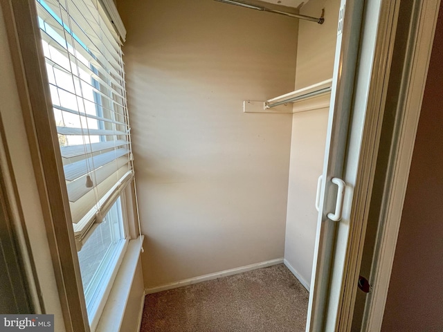 walk in closet with carpet