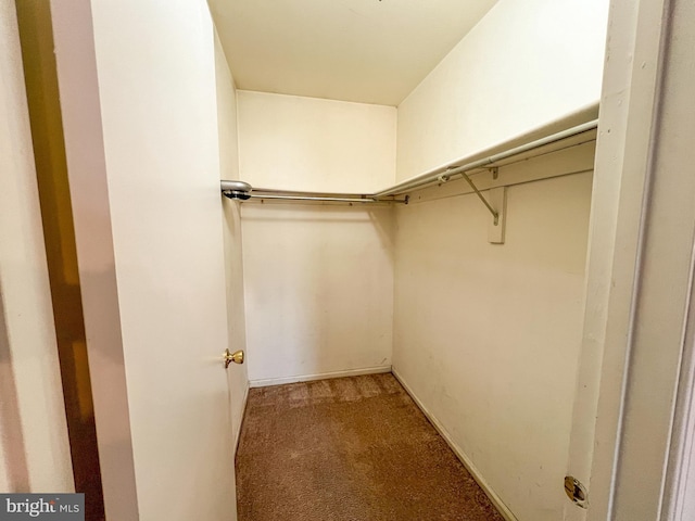 walk in closet featuring carpet