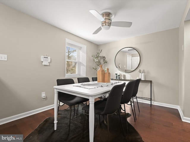 dining space featuring ceiling fan and dark hardwood / wood-style floors