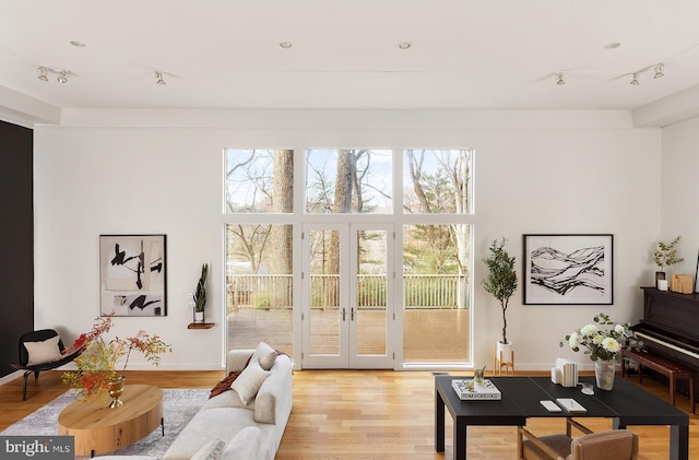 interior space with track lighting, light hardwood / wood-style floors, and french doors