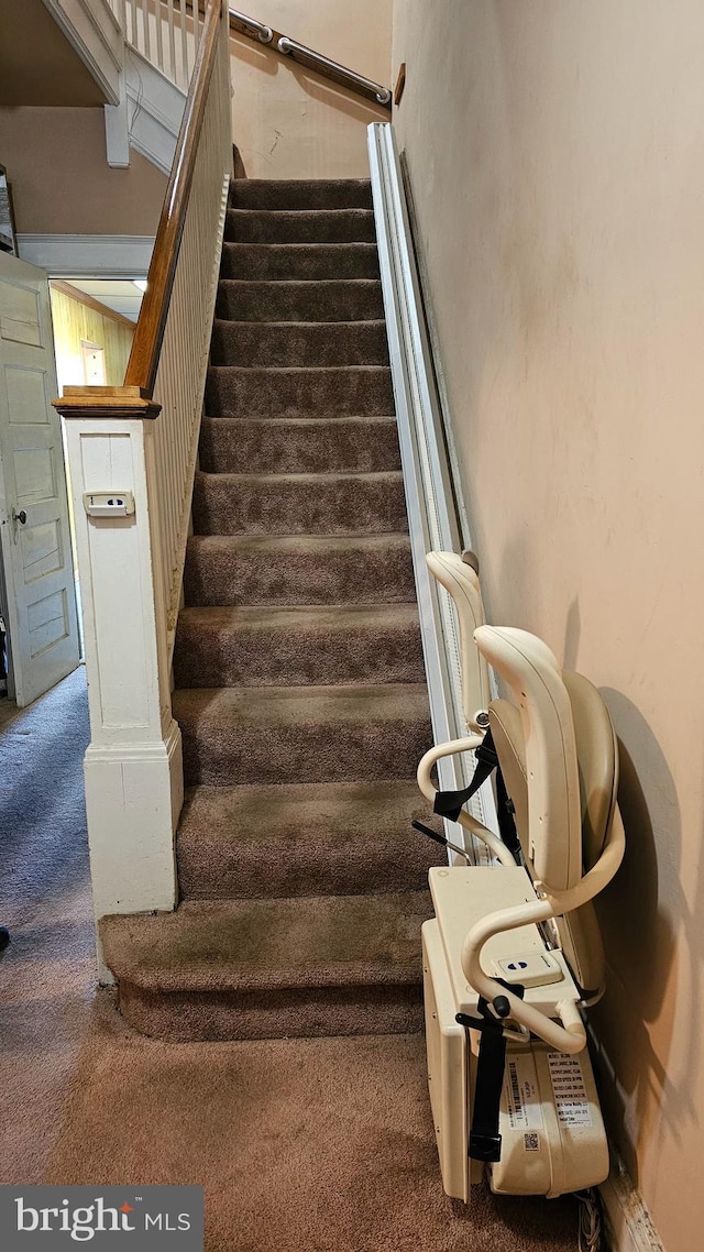 staircase featuring carpet flooring