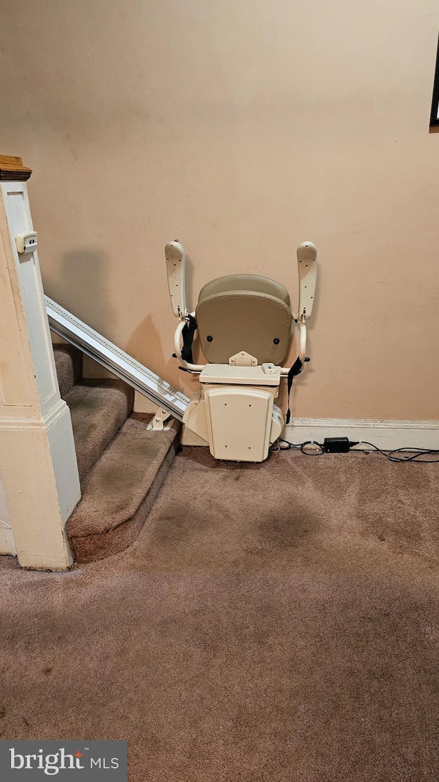 interior details with carpet floors