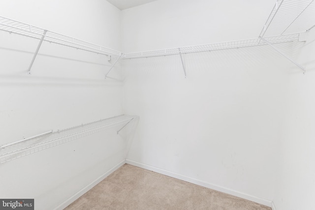 spacious closet featuring light carpet