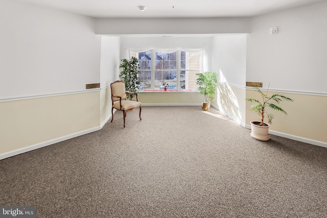 living area featuring carpet flooring