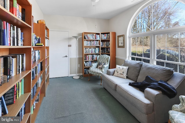 living area with dark carpet