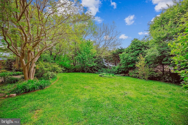 view of yard