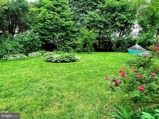view of yard