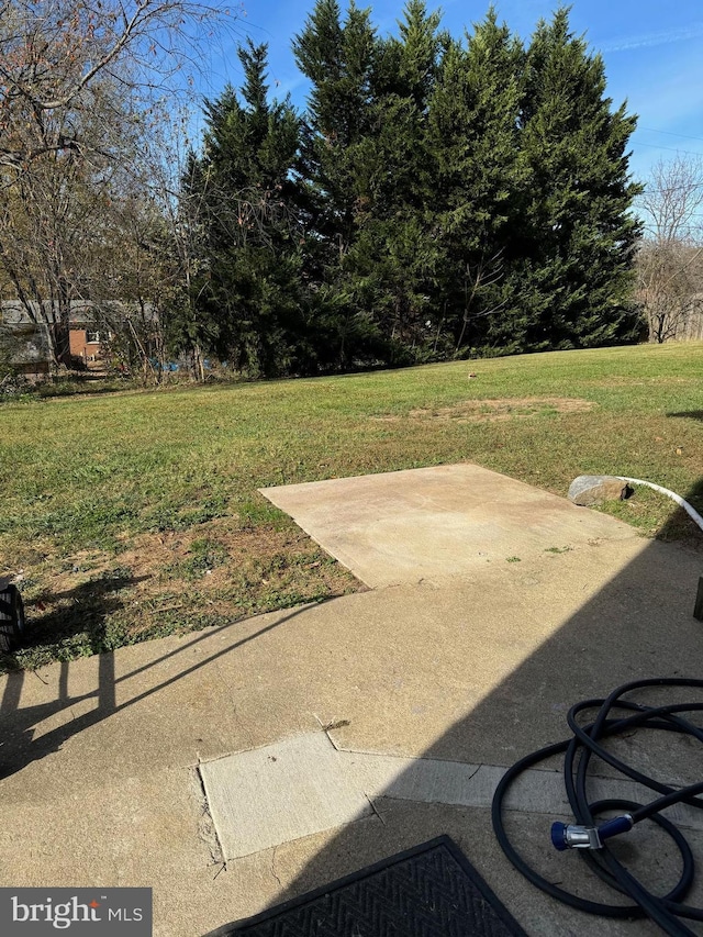 view of yard featuring a patio