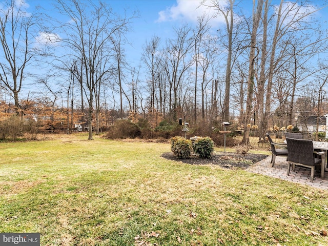 view of yard with a patio