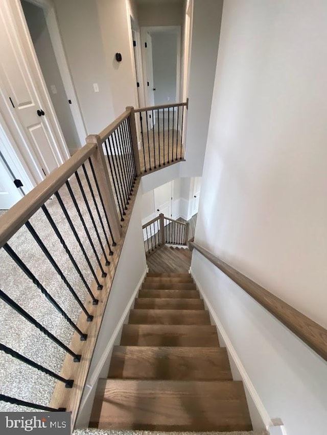 staircase with wood-type flooring