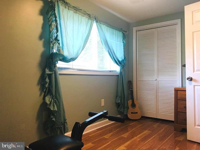 interior space with dark hardwood / wood-style flooring and a closet