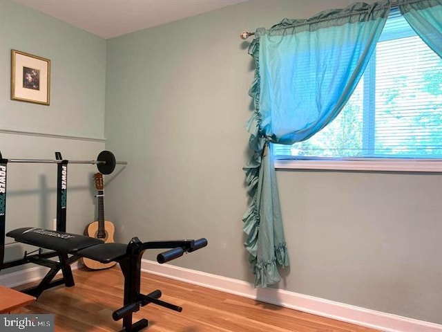 exercise area featuring wood-type flooring