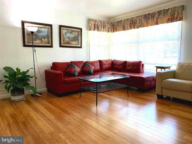 living room featuring hardwood / wood-style flooring