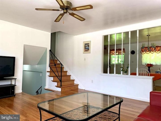 living room with hardwood / wood-style floors and ceiling fan