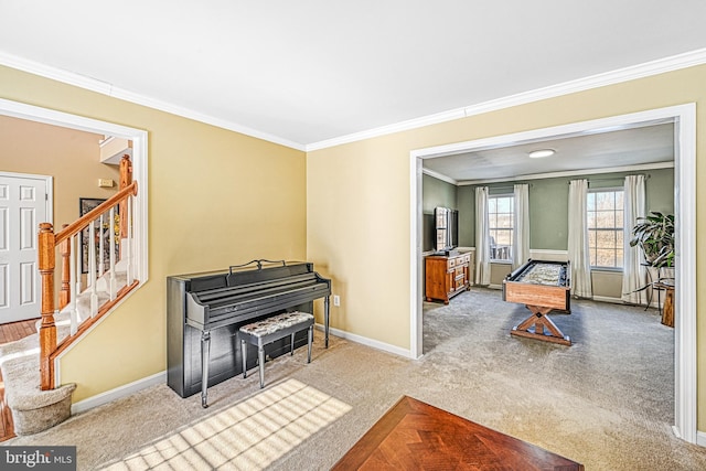 miscellaneous room with crown molding and carpet floors