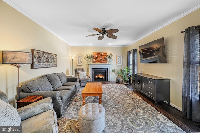 living room featuring ceiling fan, ornamental molding, and dark hardwood / wood-style flooring