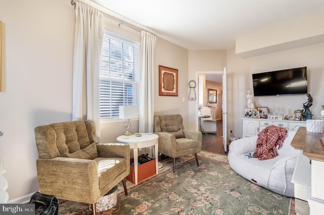 sitting room with hardwood / wood-style floors