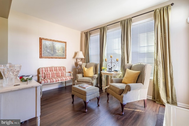 living area with dark hardwood / wood-style flooring and plenty of natural light