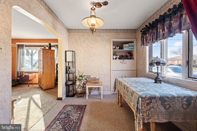 dining room with carpet flooring