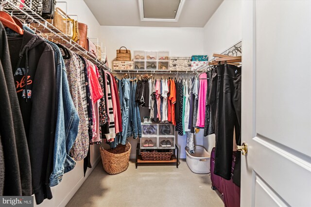 spacious closet featuring carpet