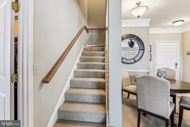 stairway with ornamental molding and carpet floors