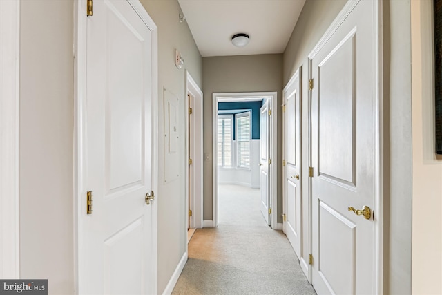 hall featuring light carpet