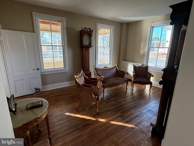 living area with dark hardwood / wood-style flooring